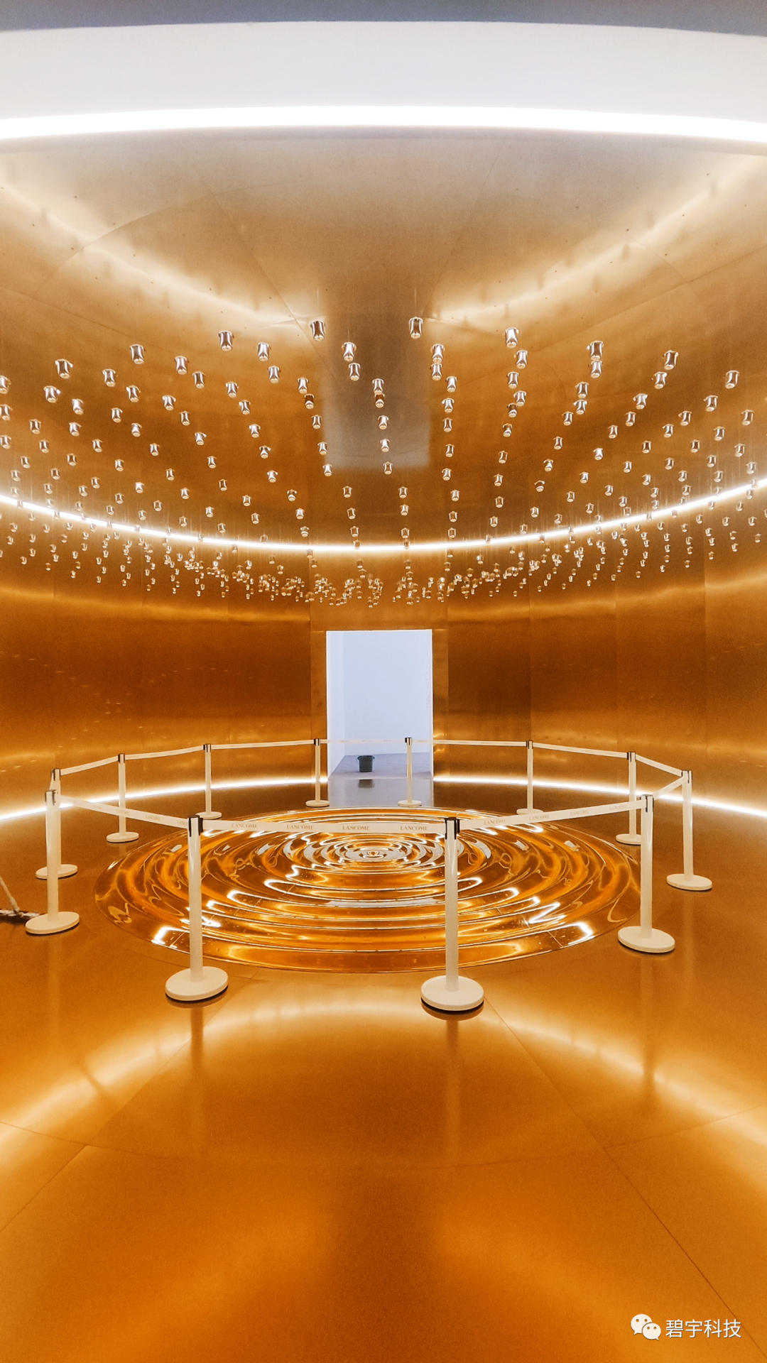 金色波浪——兰蔻菁纯艺术展创意装置 — 配图 2