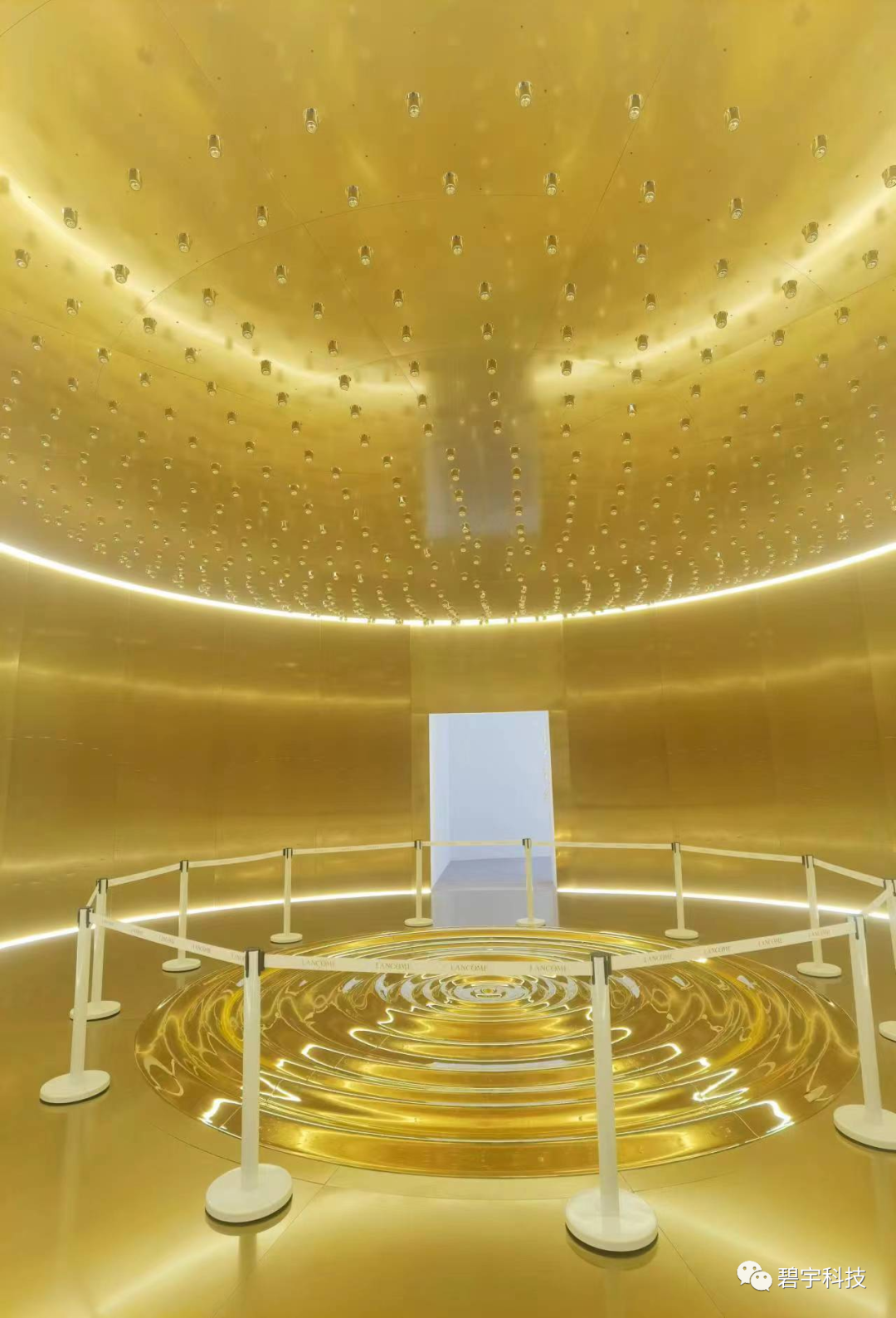 金色波浪——兰蔻菁纯艺术展创意装置 — 配图 4