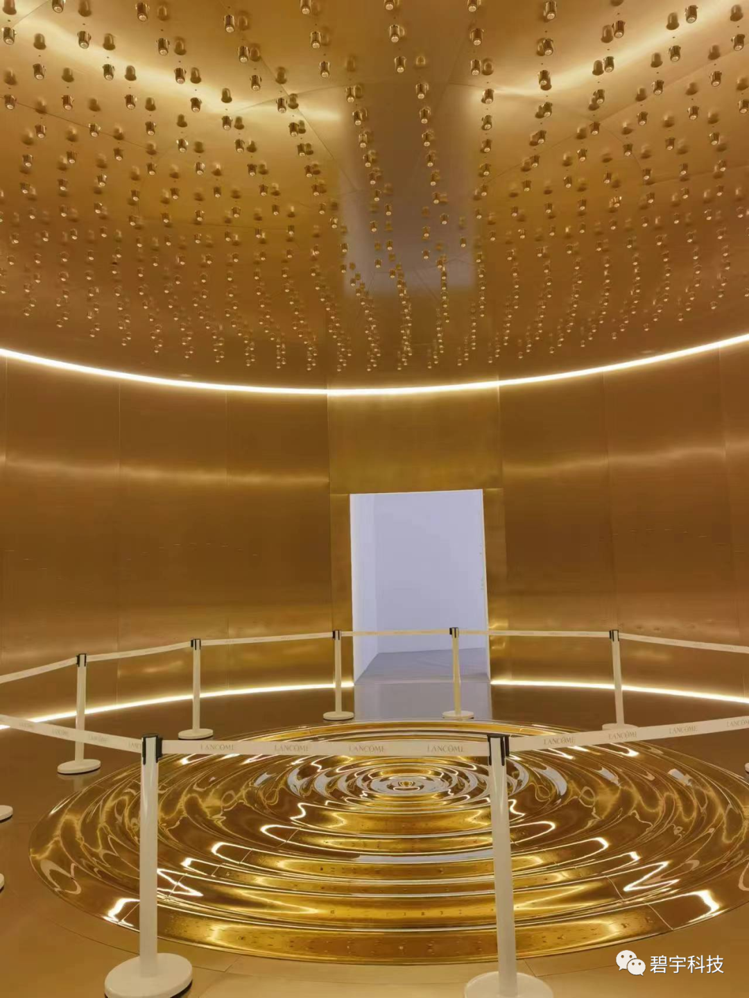 金色波浪——兰蔻菁纯艺术展创意装置 — 配图 8