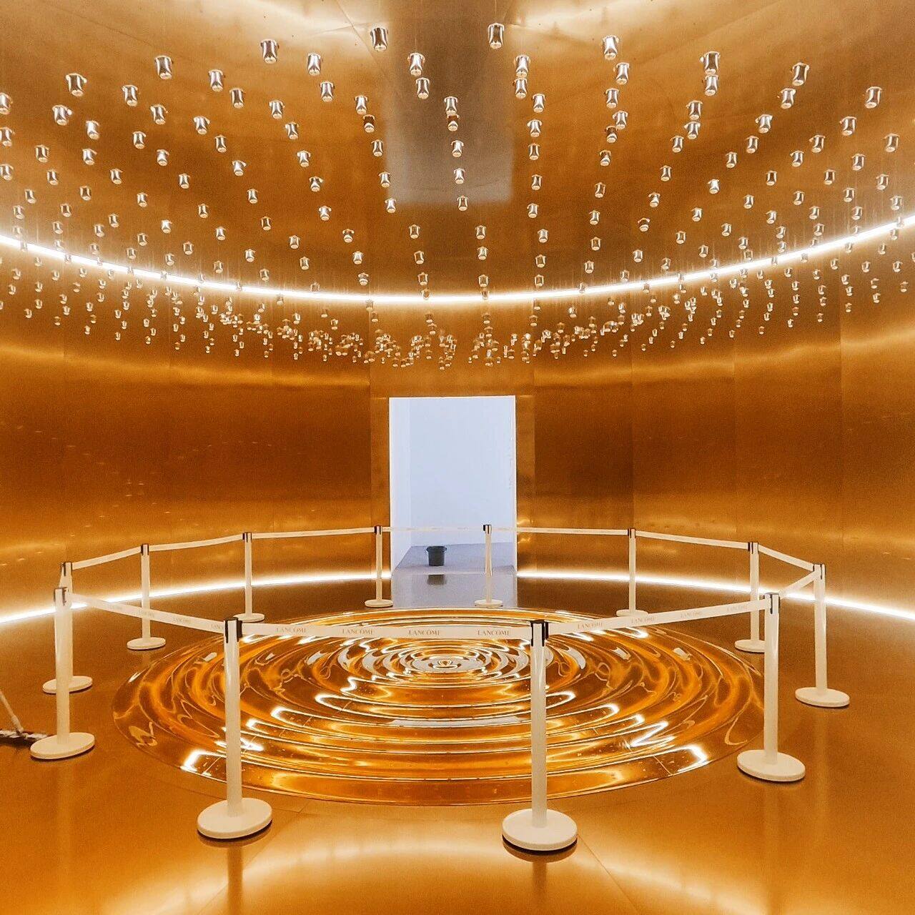 金色波浪——兰蔻菁纯艺术展创意装置 — 配图 11