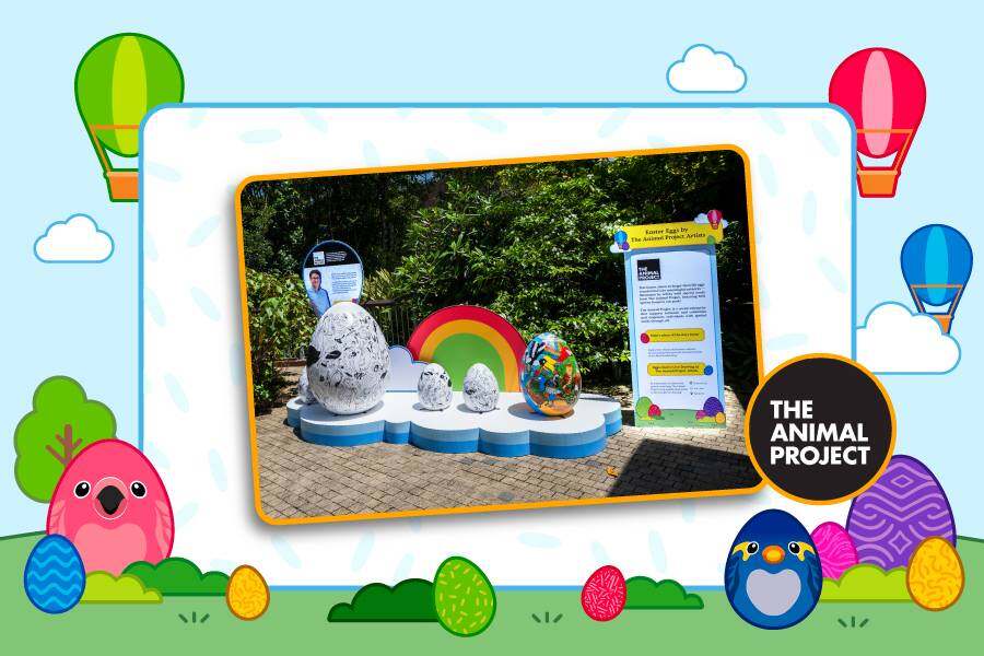 飞禽公园复活节装饰 — 万态保育集团提供
